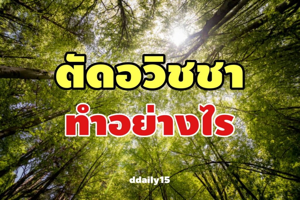 ตัดอวิชชา